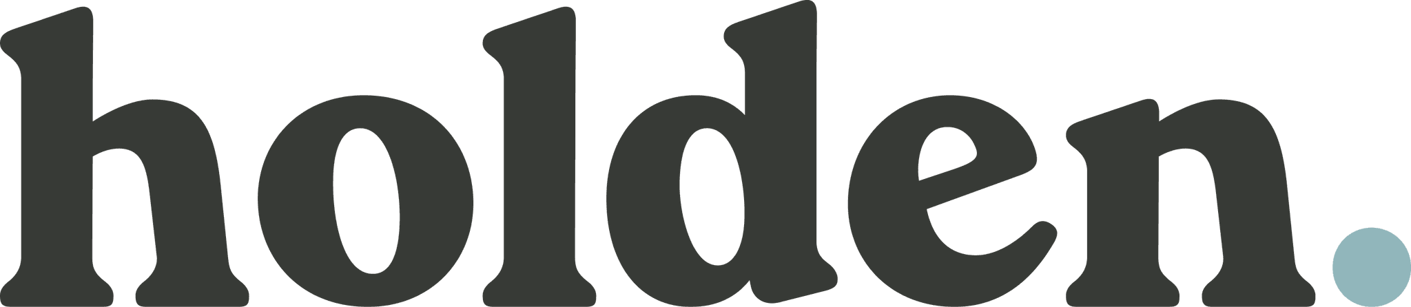 Holden Group logo